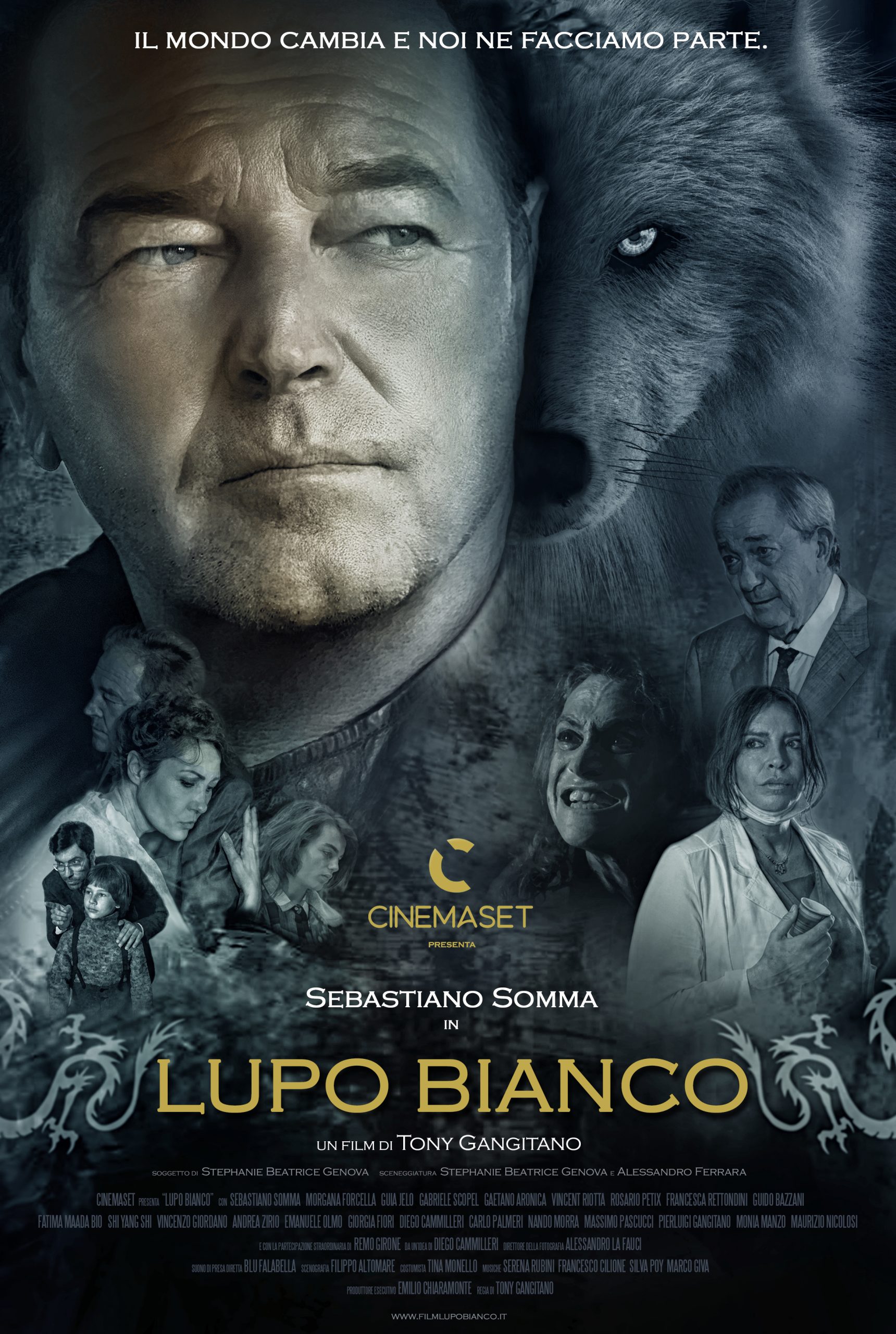 locandina lupo bianco